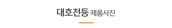 대호전등_메인하단_제목